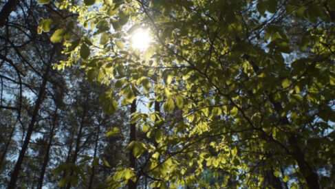 Bodilsen Sets the Bar High in First Annual ESG Report